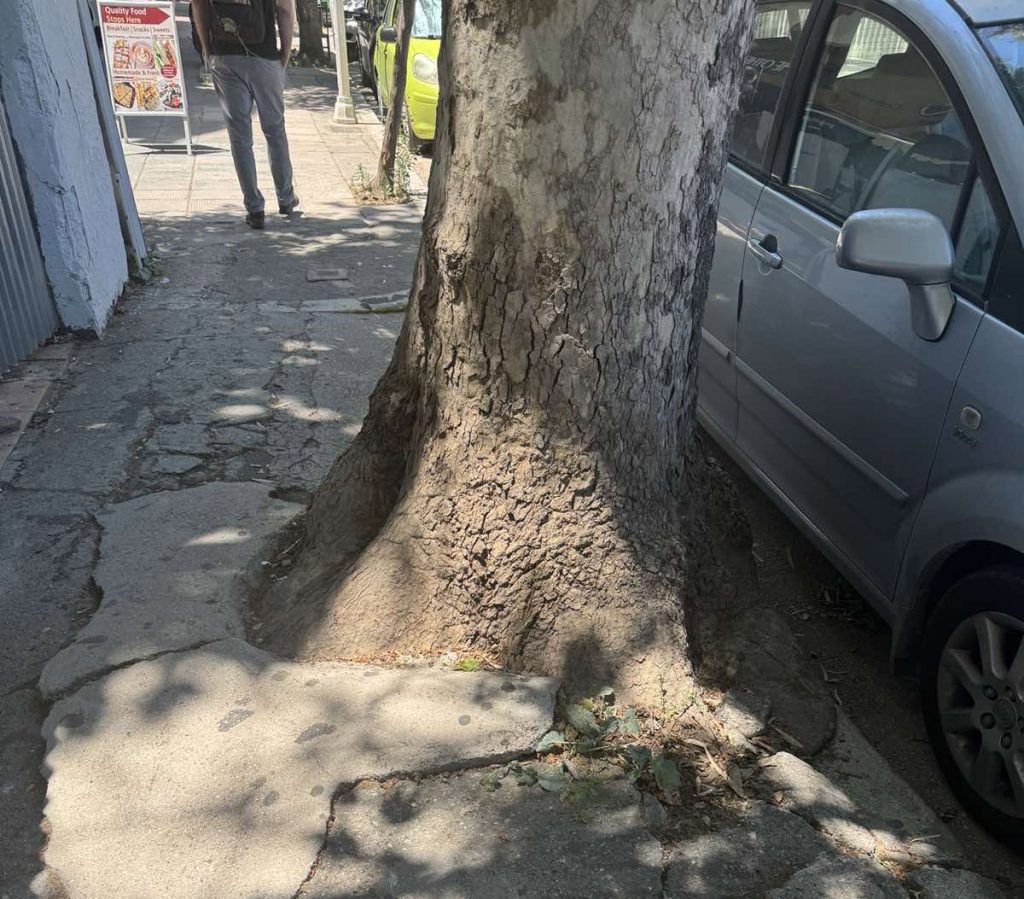 Οι κήρυκες της ασχήμιας, της κακογουστιάς, της αδιαφορίας, της αδράνειας, της “κουλτούρας του τίποτα”.
