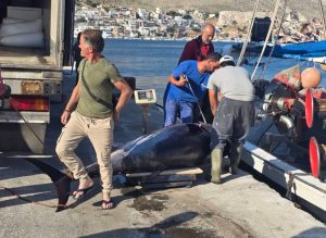 Ψαράς έπιασε λαχείο… στη θάλασσα της Καλύμνου. Αλίευσε Τόνο πάνω από 200 κιλά!